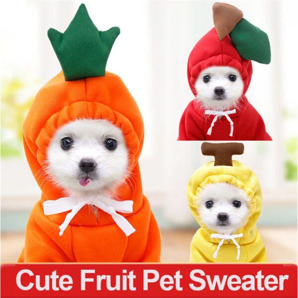 Manteau d’hiver à capuche en polaire motif fruit pour chien & chat