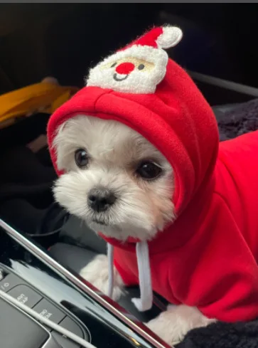 Red Santa Claus