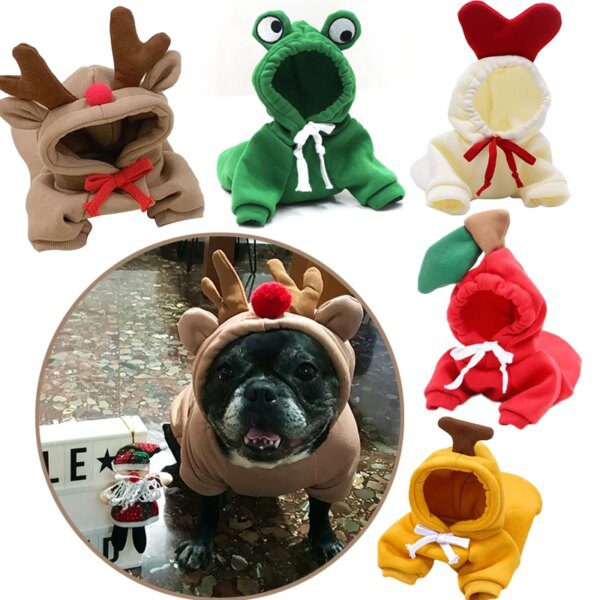 Manteau d’hiver à capuche en polaire motif fruit pour chien & chat – Chaleur