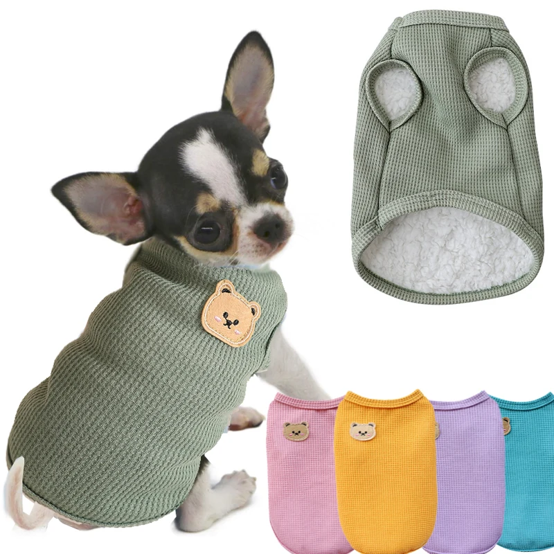 Pull pour chien - Guide d'achat 2026