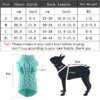 Pull col roulé chaud en maille pour petit chien