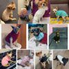 Pull col roulé chaud en maille pour petit chien