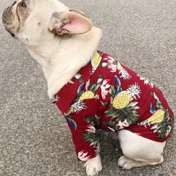 Tee-shirt hawaïen respirant pour chien