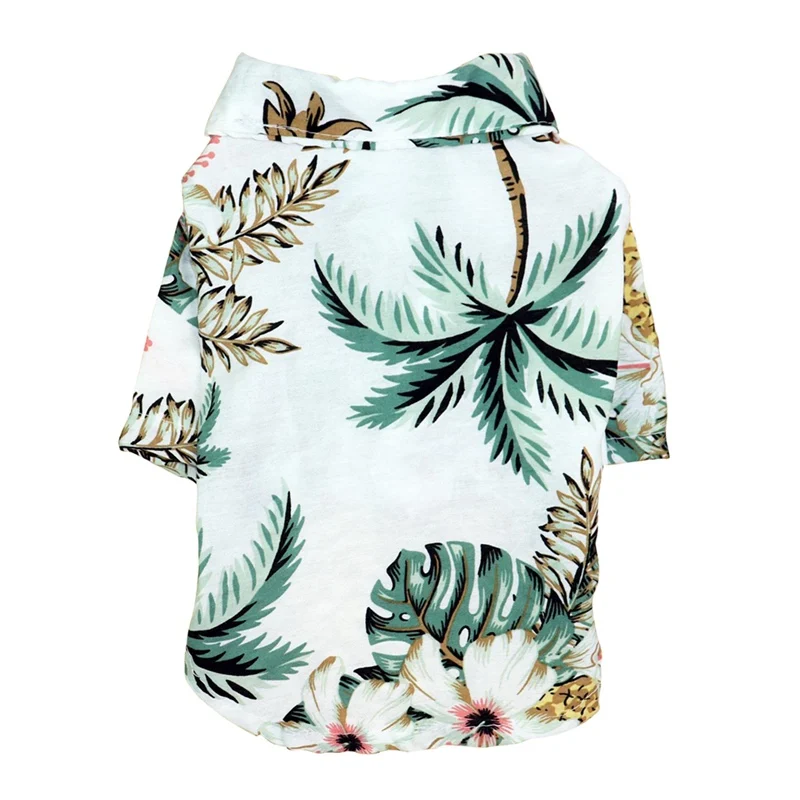 White Coconut tree