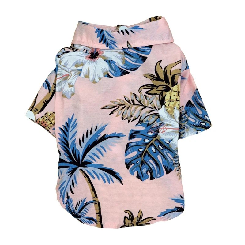 Pink Coconut tree