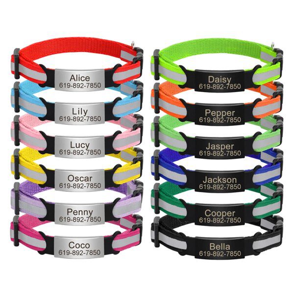 Collier Chat Réfléchissant Personnalisé – Gravure Gratuite