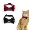 Nœud papillon en velours pour chat – Accessoire élégant