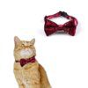 Nœud papillon en velours pour chat – Accessoire élégant