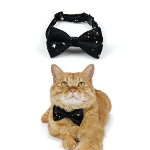 Nœud papillon en velours pour chat – Accessoire élégant