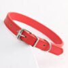 Collier Chat & Chiot en Cuir Coloré – Personnalisé avec Nom