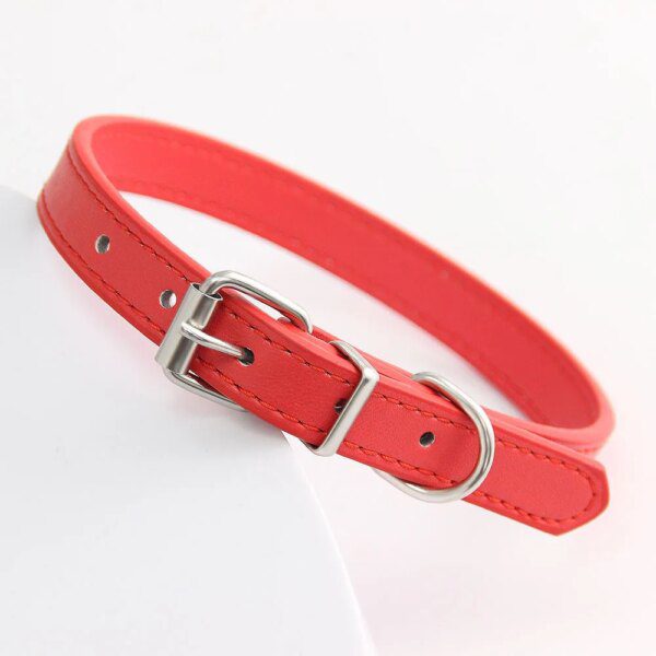 Collier Chat & Chiot en Cuir Coloré – Personnalisé avec Nom