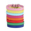 Collier Chat & Chiot en Cuir Coloré – Personnalisé avec Nom