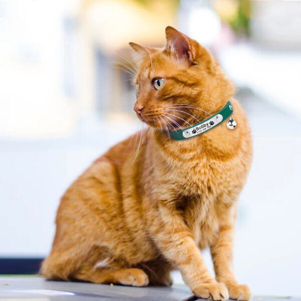 Collier Chat Personnalisé en Cuir Écologique – Gravure Laser Inaltérable