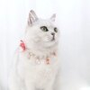 Collier Chat Princesse en Perles – Bijou Élégant pour Fêtes
