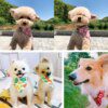 Bavoir chat réglables pour petits et moyens chiens, colliers triangulaires pour chiots