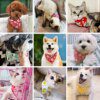 Bavoir chat réglables pour petits et moyens chiens, colliers triangulaires pour chiots