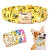 Collier Personnalisé Motif Abeille pour Chien – Douceur, Sécurité