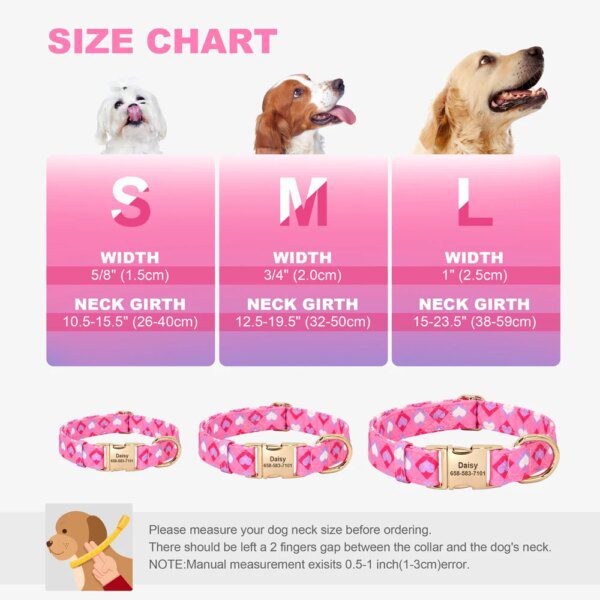 Collier Personnalisé Motif Abeille pour Chien – Douceur, Sécurité