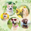 Collier Personnalisé Motif Abeille pour Chien – Douceur, Sécurité