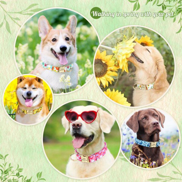 Collier Personnalisé Motif Abeille pour Chien – Douceur, Sécurité
