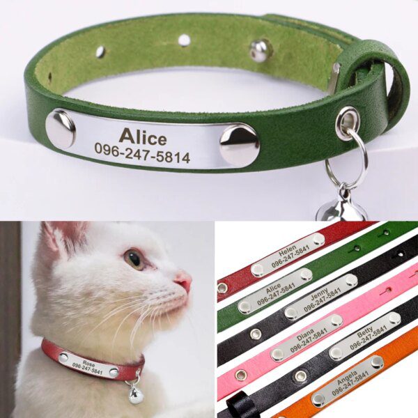 Collier Chat en Cuir Personnalisé – Identification Gravée