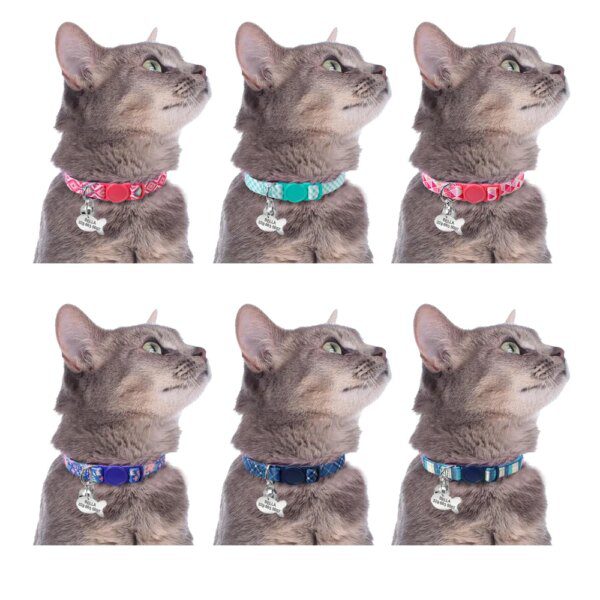 Collier de Sécurité Personnalisé pour Chat & Chiot