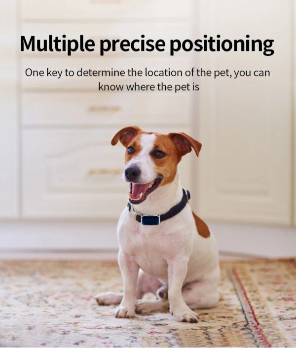 Collier GPS Chat & Chien – Mini Traceur Intelligent IP67 Anti-Perte