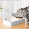 Gamelle Chat Double Bol Incliné avec Distributeur d’Eau par Gravité
