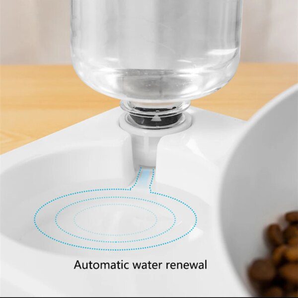 Gamelle Chat Double Bol Incliné avec Distributeur d’Eau par Gravité