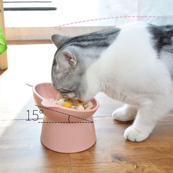 Gamelle Chat & Chien Bol Anti-Renversement Binaural