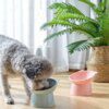 Gamelle Chat & Chien Bol Anti-Renversement Binaural