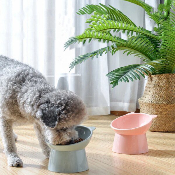 Gamelle Chat & Chien Bol Anti-Renversement Binaural