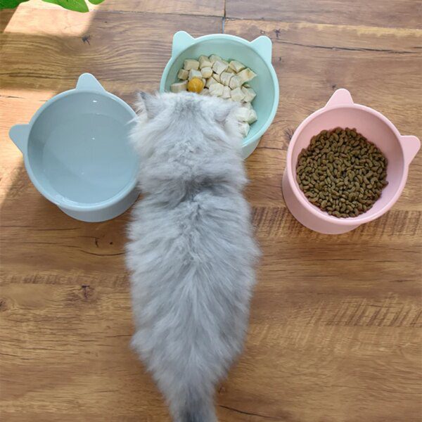 92066-2c82fc.jpg Gamelle Chat & Chien Surélevée à 45°