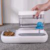 Gamelle Chat 2-en-1 Automatique – Mangeoire + Fontaine à Eau 1,5 L
