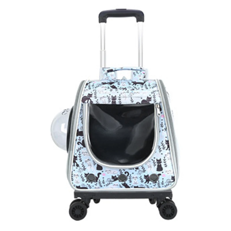 A Light Green kitten