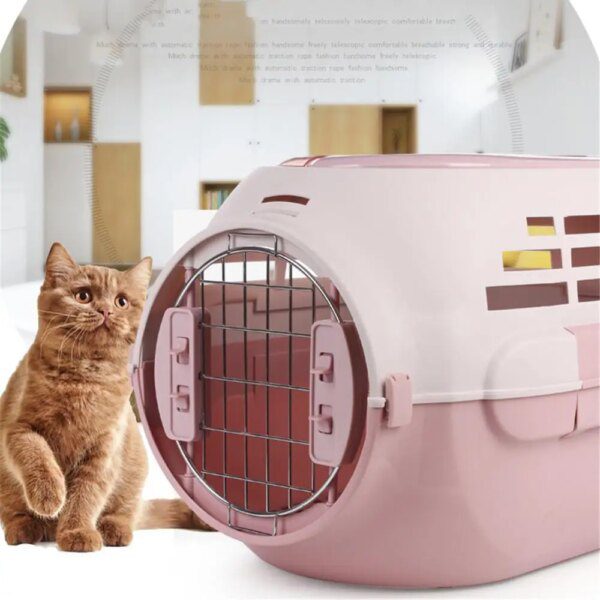 Caisse de transport chat en avion – Cage respirante portable