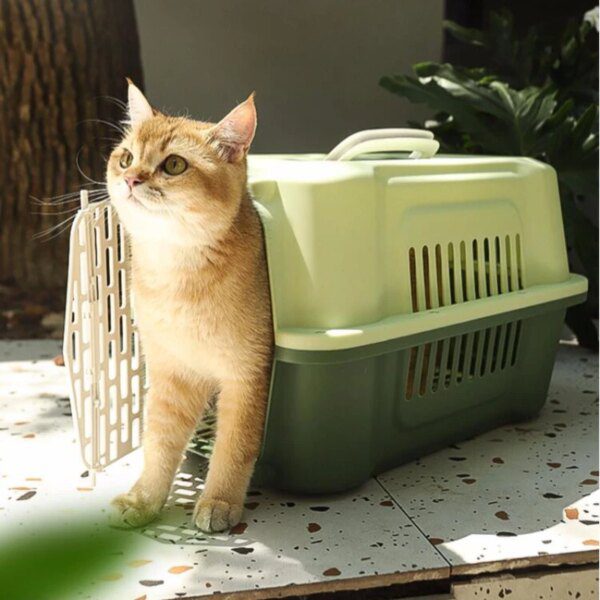 92998-439918.jpg Caisse de transport d’air pour chat & petits chiens