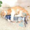 Jouet Interactif Électrique en Poisson pour Chat, Charge USB