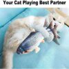 Jouet Interactif Électrique en Poisson pour Chat, Charge USB