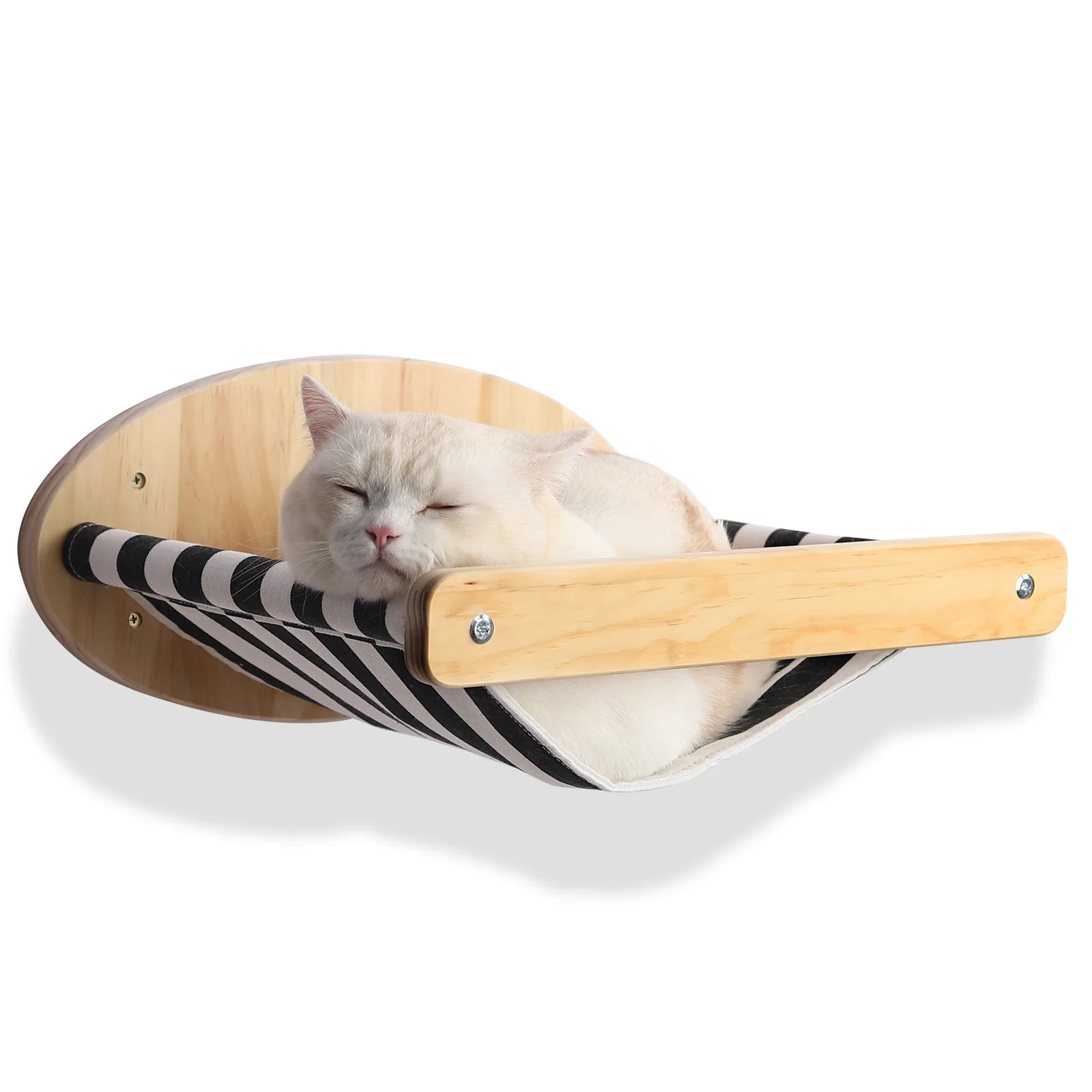 A cat hammock