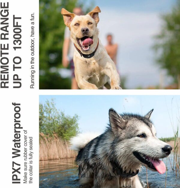 Collier d’Entraînement & Anti-Aboiement DB400 – Contrôle Intelligent, Sécurité