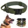 Collier Tactique Militaire pour Chien – Contrôle Absolu, Robustesse Terrain
