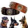 Collier en Cuir Véritable Marron à Pointes pour Chien – Puissance Maîtrisée