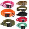 Collier & laisse tactiques militaires – Contrôle total