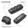 Collier Électrique d’Entraînement 400 m pour Chien – Contrôle à Distance