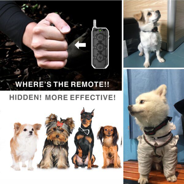 Collier Électrique d’Entraînement 400 m pour Chien – Contrôle à Distance