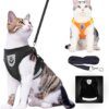 Harnais chat et laisse réglables pour chat, vêtements