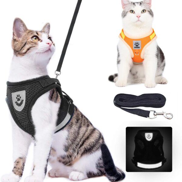 Harnais chat et laisse réglables pour chat, vêtements