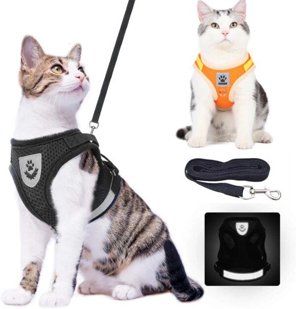 Harnais chat et laisse réglables pour chat, vêtements