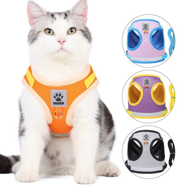 Harnais chat et laisse réglables pour chat, vêtements